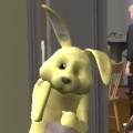 ウサギ2号.jpg
