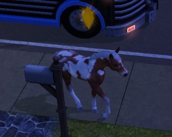 Screenshot-5.jpg