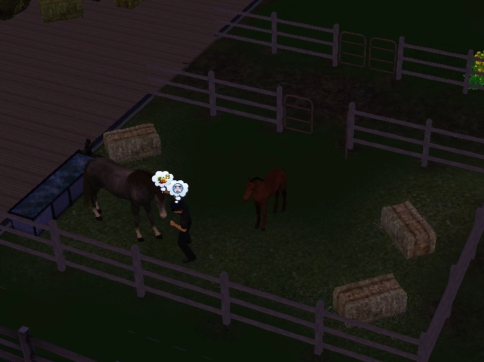 Screenshot-61.jpg